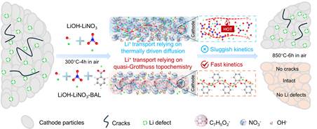 徽标, 公司名称描述已自动生成